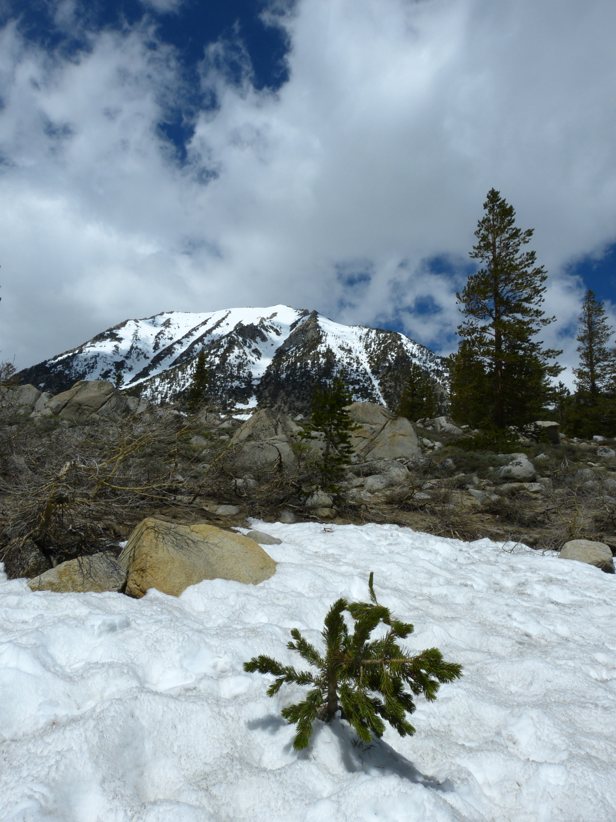 View at Rock Creek Lake  -  Inyo National Forest, California