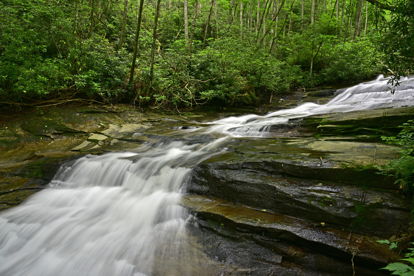 Cascade on Looking Glass Creek  -  Pisgah National Forest, North Carolina