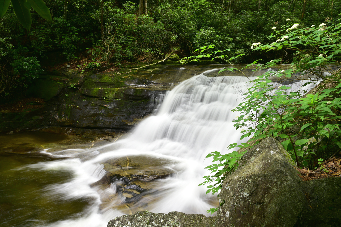 Unnamed falls on Looking Glass Creek  -  Pisgah National Forest, North Carolina