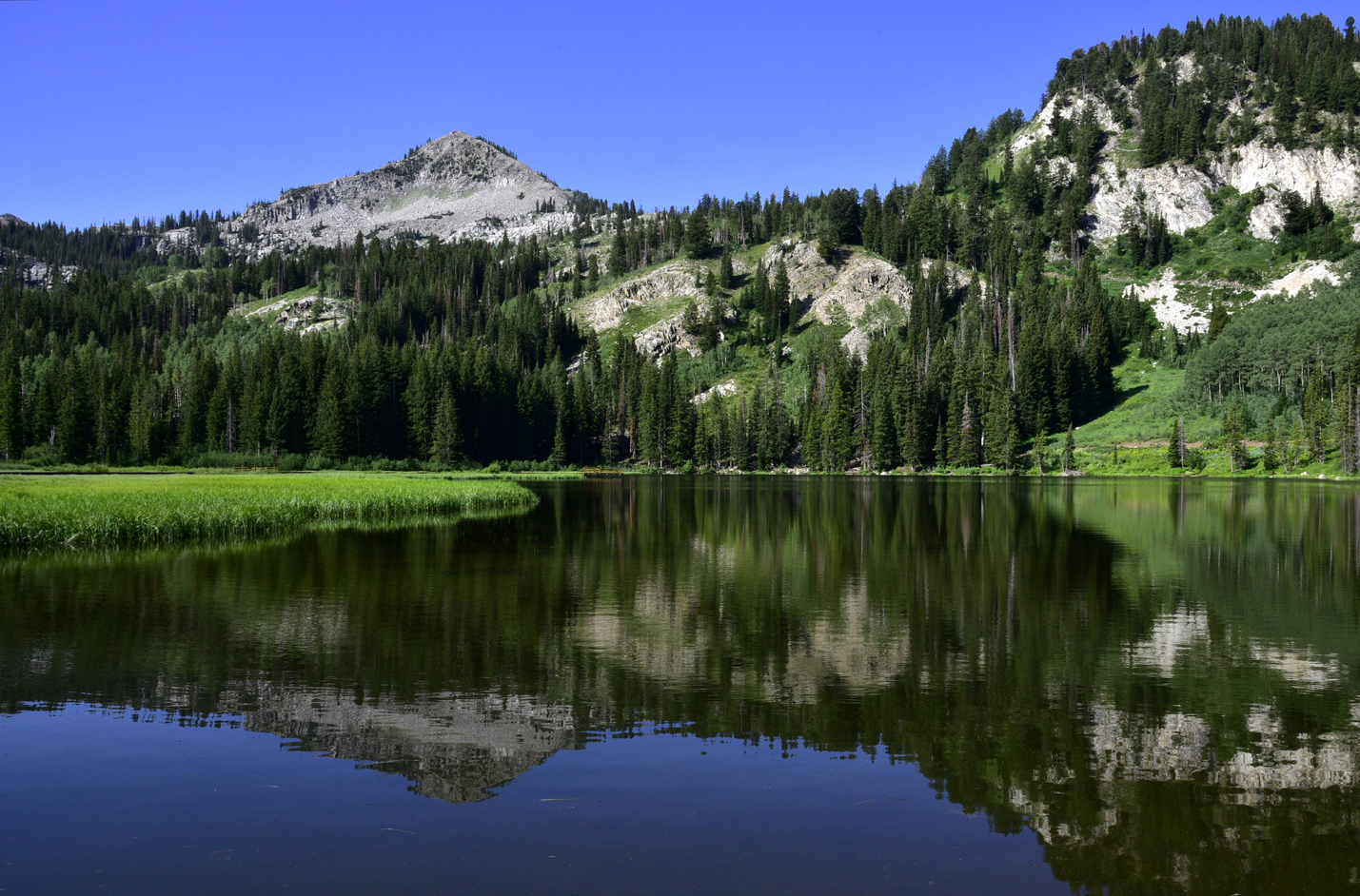 Reflection in Silver Lake; Mt. Millicent (left; 10,452 feet)  -  Silver Lake Trail, Uinta-Wasatch-Cache National Forest, Utah