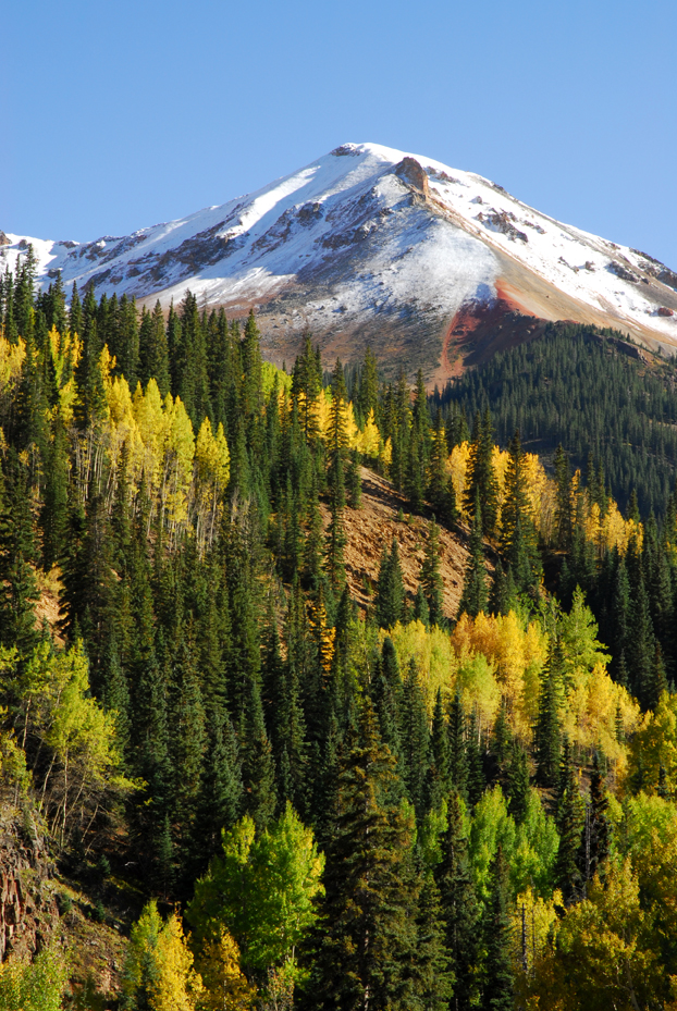 Aspens, Red Mountain No. 1   -  Uncompahgre National Forest, Colorado  [2007]