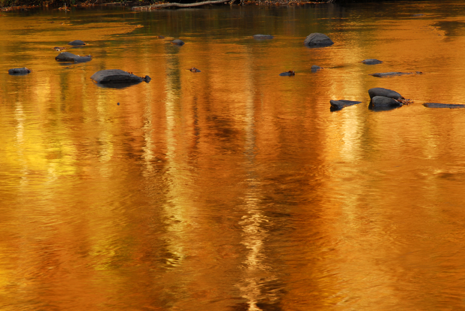 “Liquid Gold”   -  Tellico River, Cherohala Skyway, Tennessee  [2012]