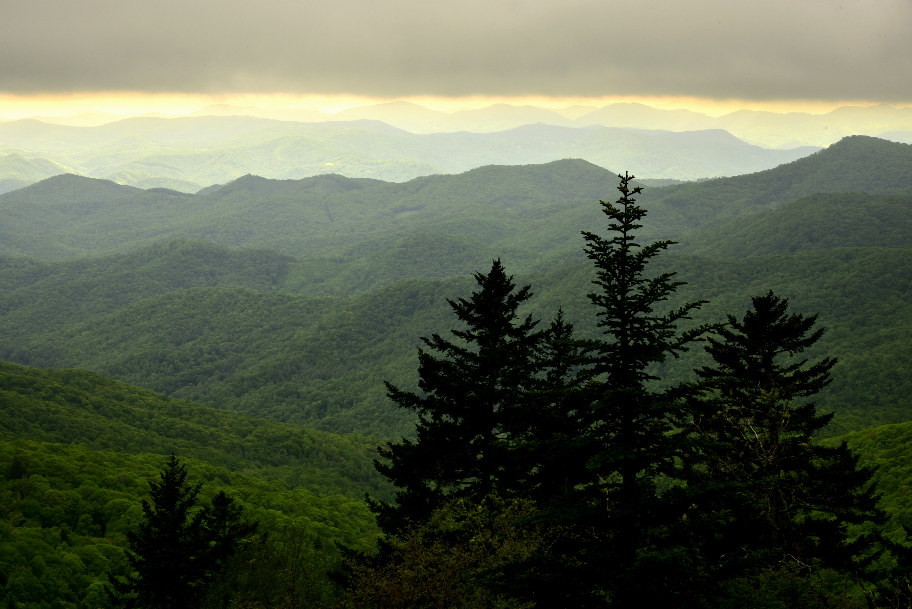 Mountain ridges  -  Blue Ridge Parkway, North Carolina