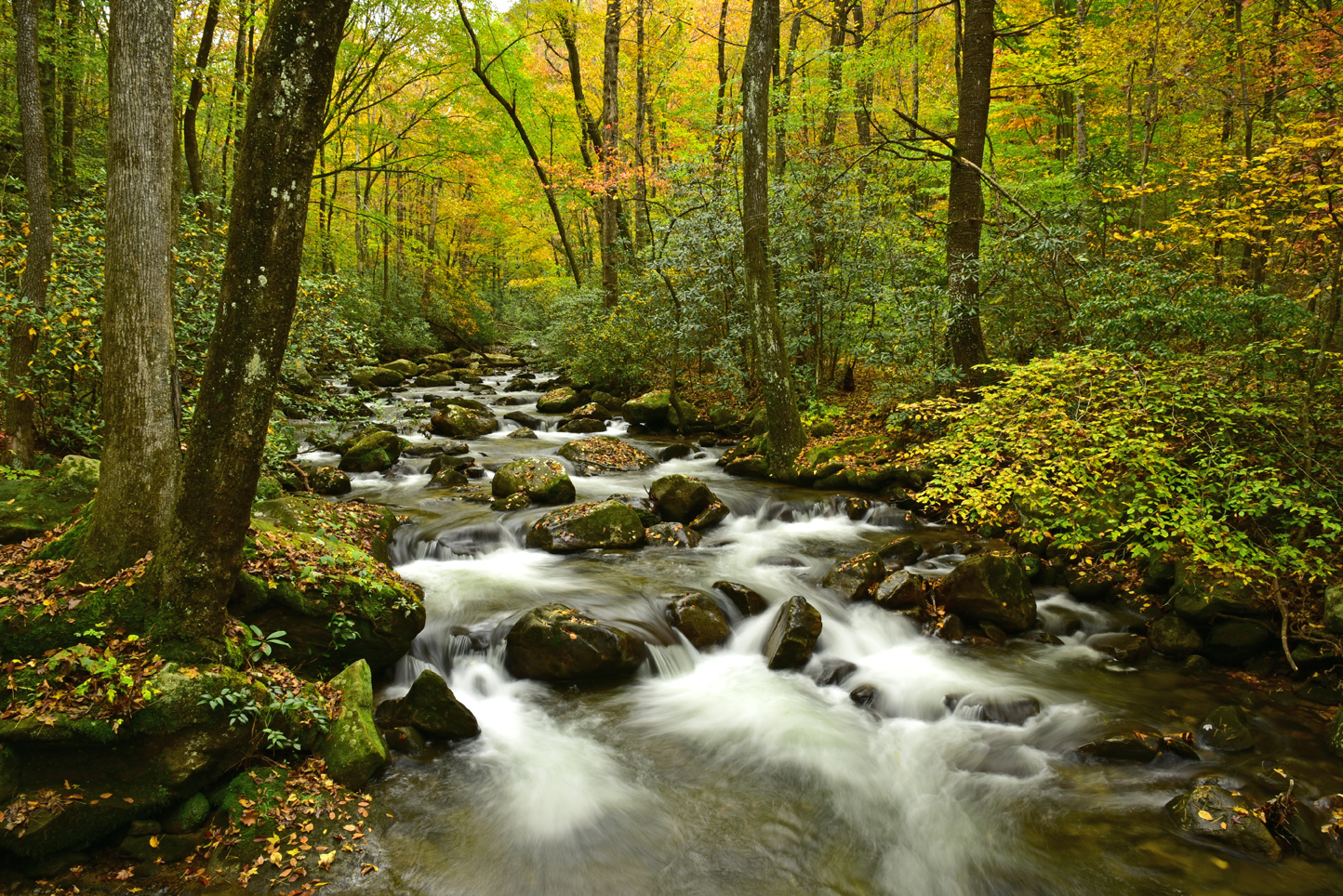 Cascades on the Middle Saluda River, fall colors   -  Jones Gap State Park, South Carolina  [2018]