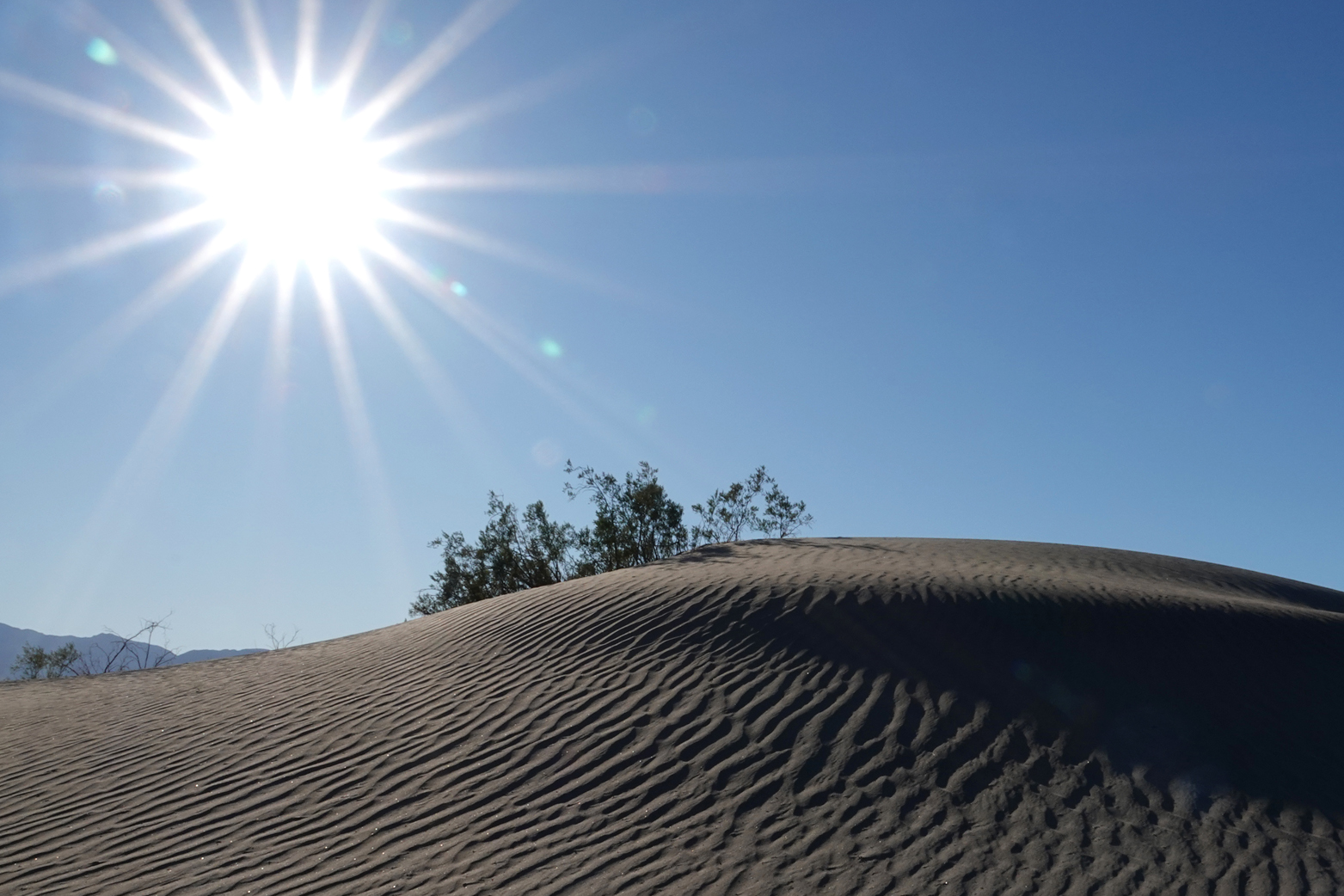 Sand dunes, sun star  -  Mesquite Flat Sand Dunes, Death Valley National Park, California  [2019]