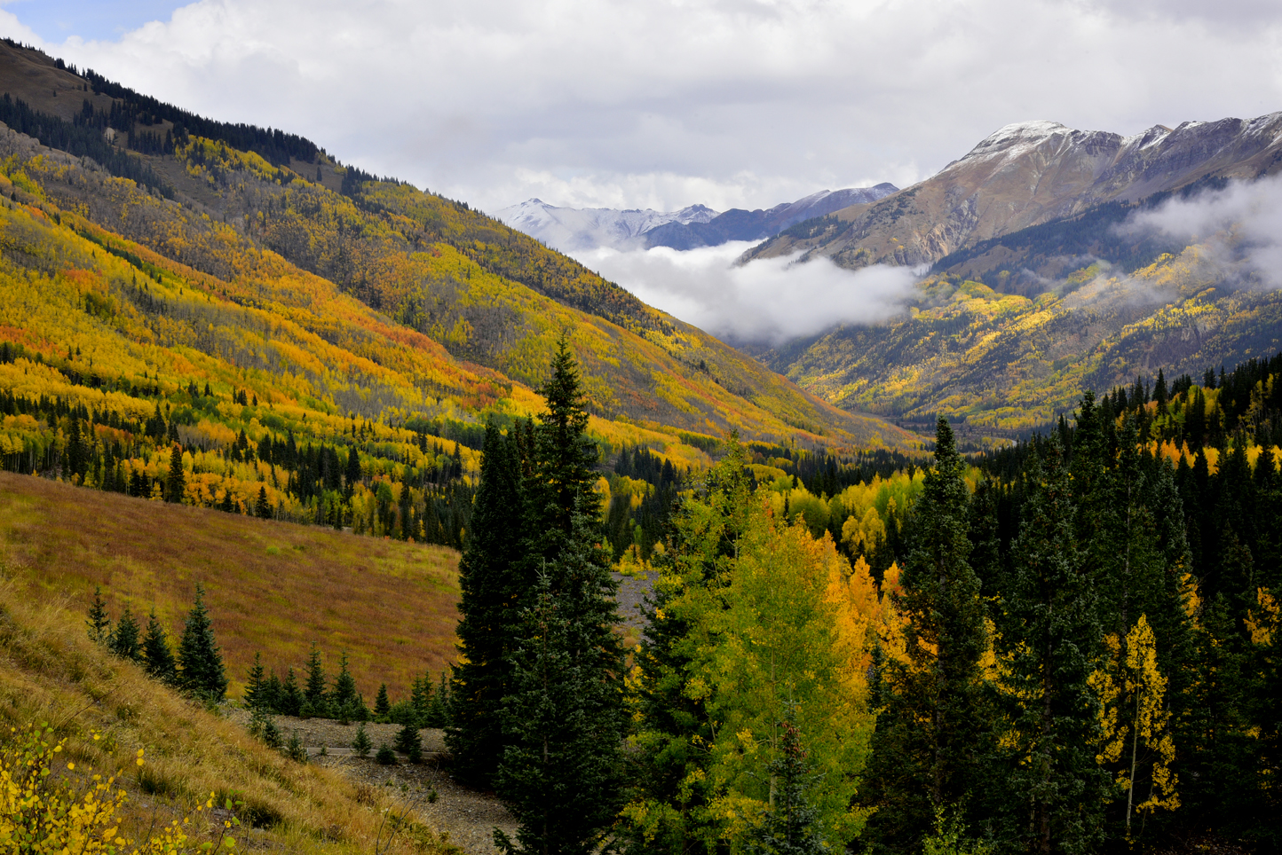 Fall colors south of Crystal Lake   -  San Juan Skyway, Colorado  [2021]