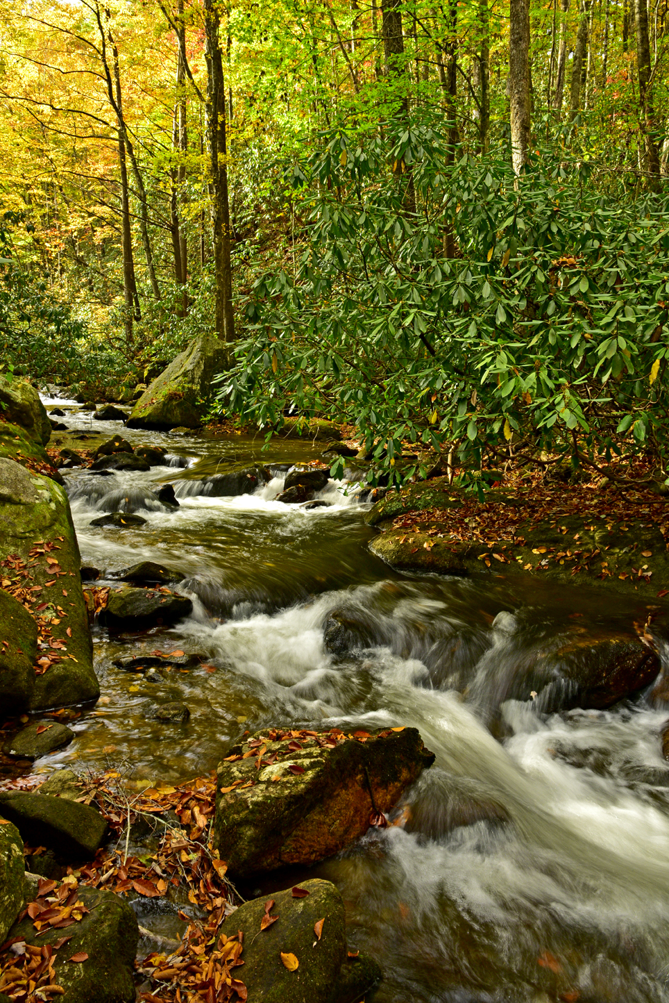 Cascades on the Middle Saluda River   -  Jones Gap Trail, Jones Gap State Park, South Carolina  [2022]