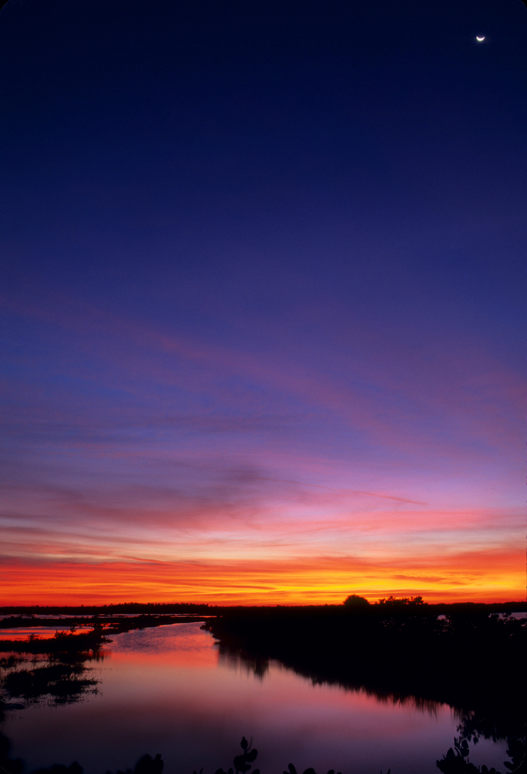 Pre-sunrise light  -  Merritt Island National Wildlife Refuge, Florida