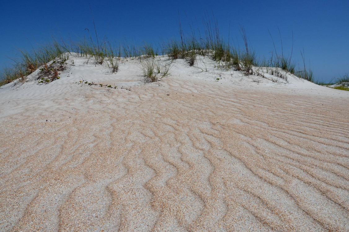 Wind-formed sand patterns and dune  -  Anastasia State Park, Florida