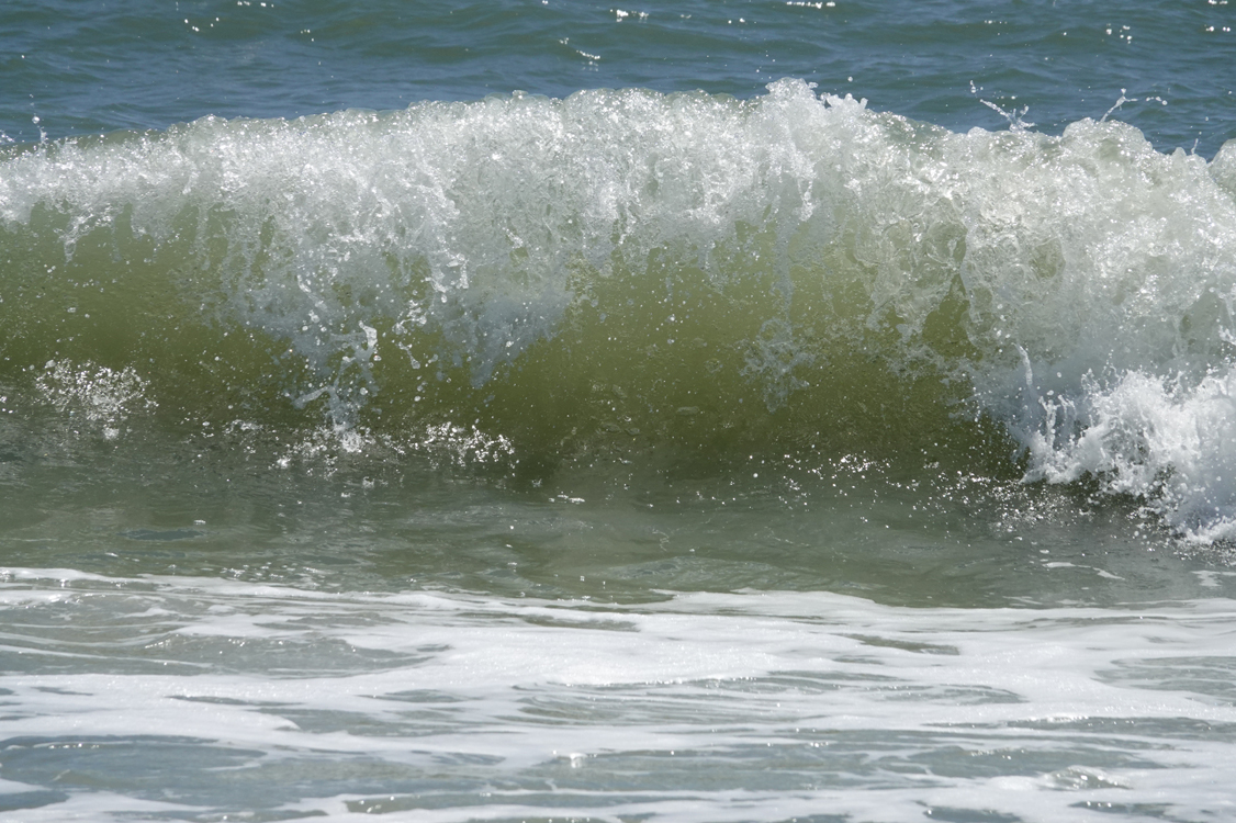 Crashing Atlantic Ocean wave  -  Anastasia State Park, Florida