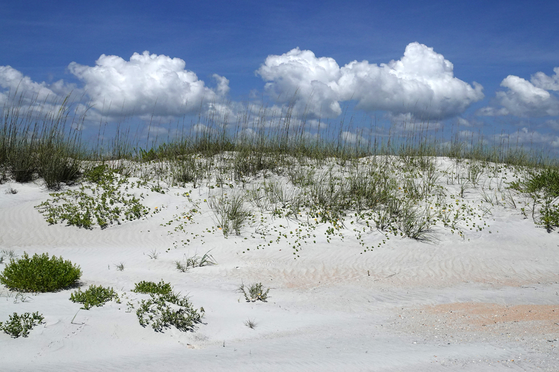 Sand dunes and clouds  -  Anastasia State Park, Florida