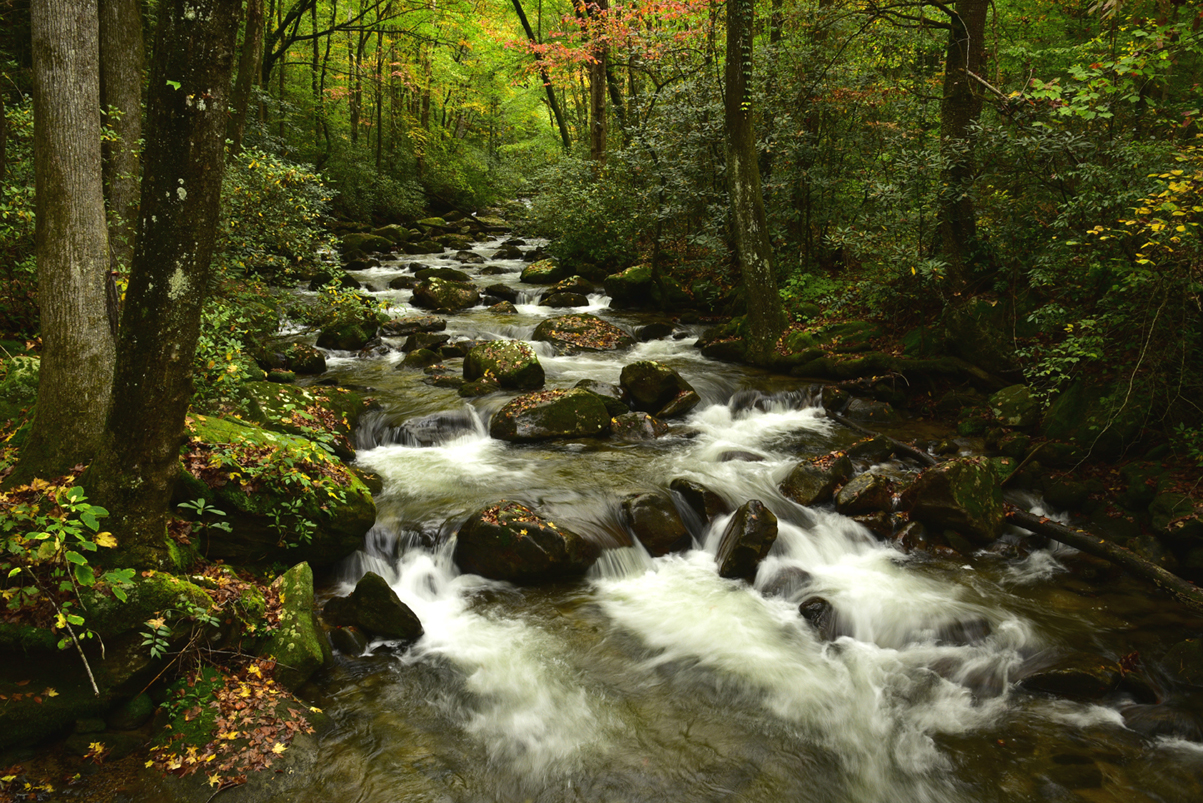 Cascades on the Middle Saluda River  -  Jones Gap State Park, South Carolina