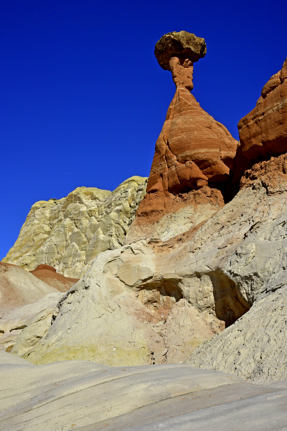 Toadstool  -  Toadstools Trail, Grand Staircase-Escalante National Monument, Utah