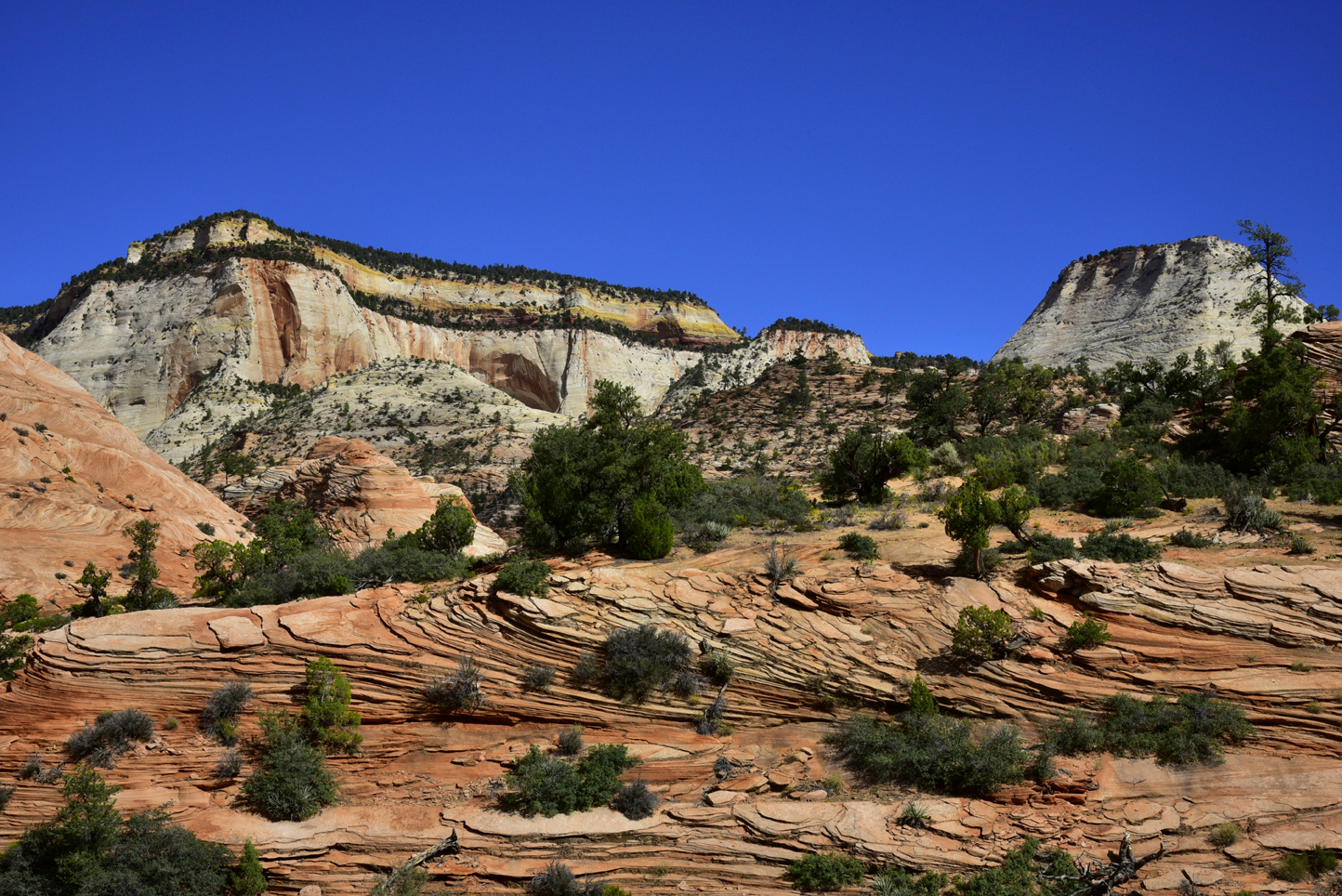 Sandstone formations  -  Zion - Mount Carmel Highway, Zion National Park, Utah