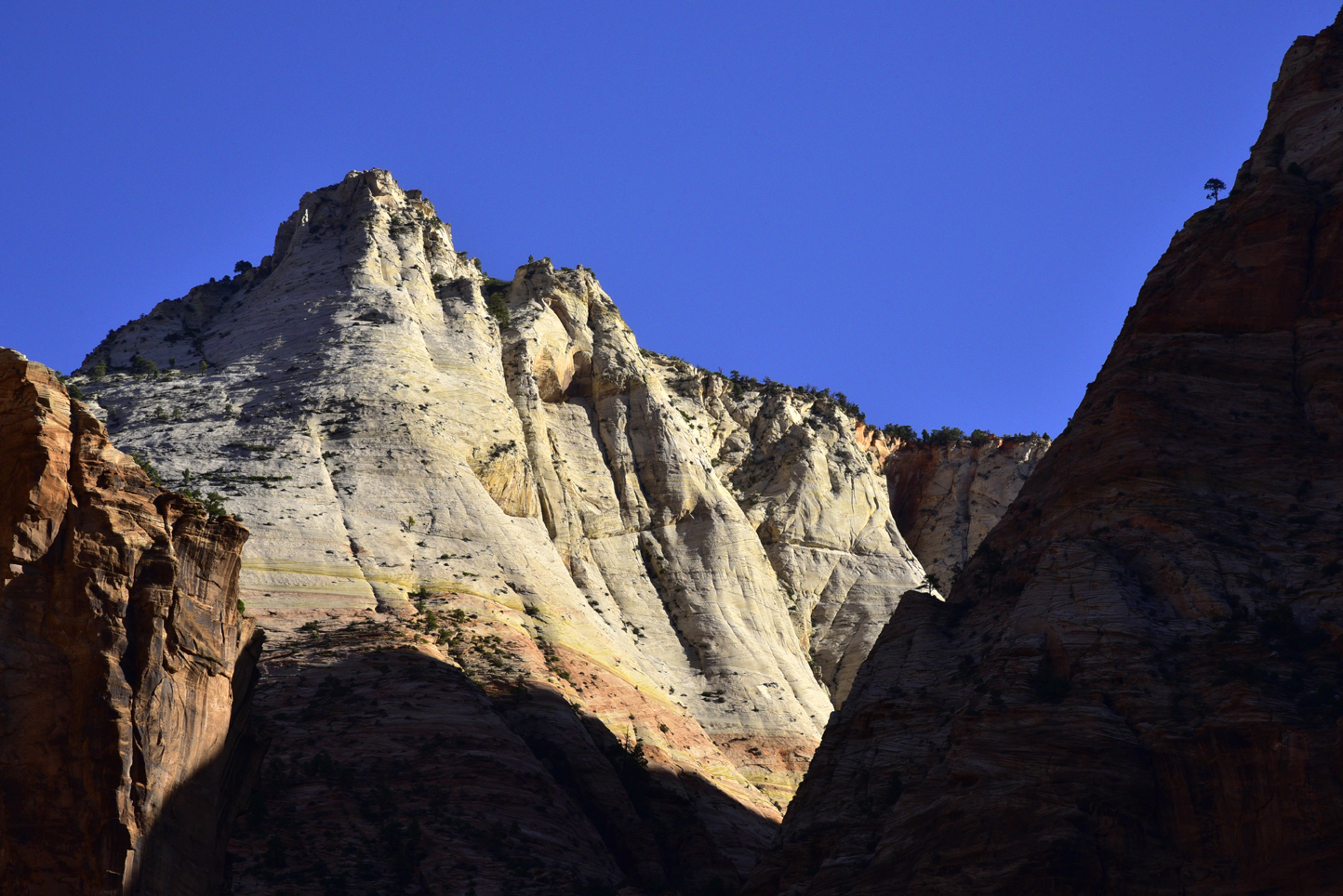 Canyon walls  -  Zion - Mount Carmel Highway, Zion National Park, Utah