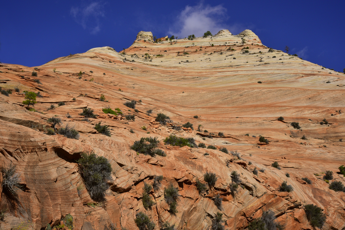 Sandstone ridge  -  Zion - Mount Carmel Highway, Zion National Park, Utah