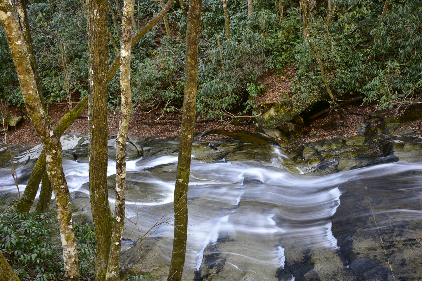Cascades on Looking Glass Creek  -  Pisgah National Forest, North Carolina