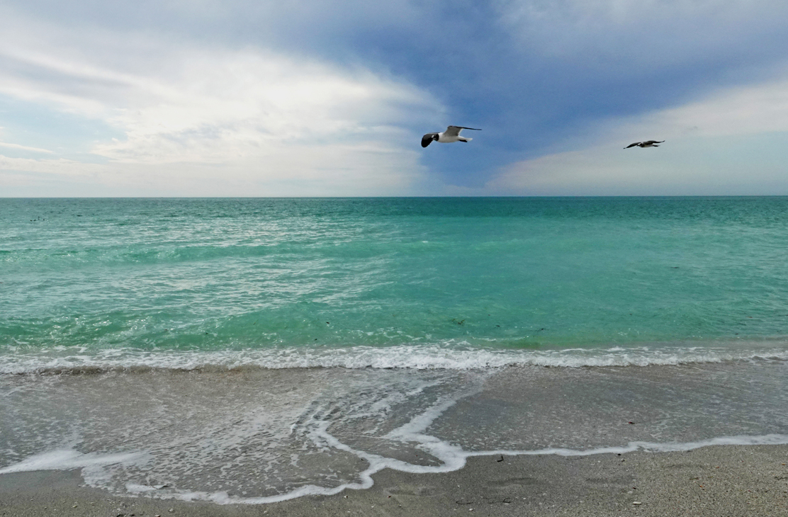 Surf line, gulls flying, rain clouds over the Gulf  -  Lido Beach, Sarasota, Florida