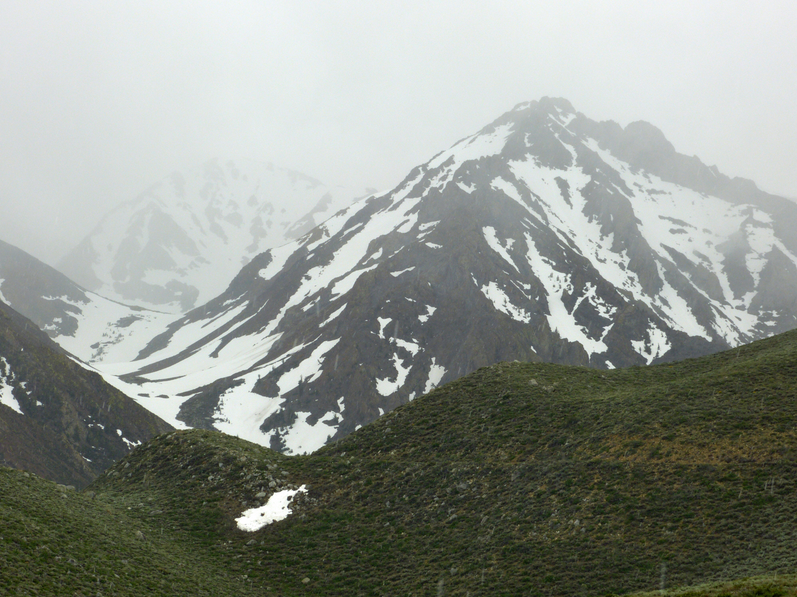 Snowstorm  -  McGee Creek Road, Inyo National Forest, California