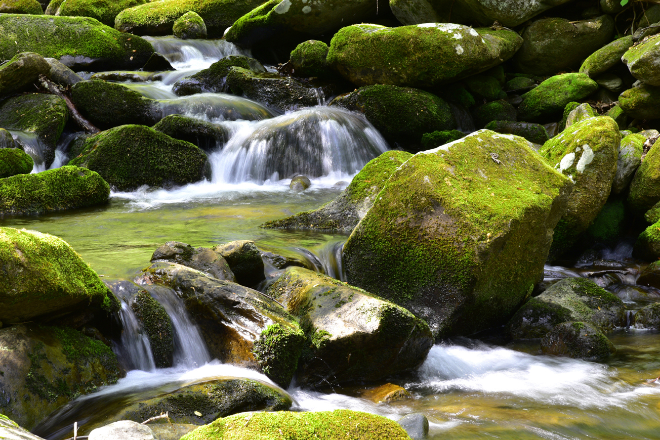 Cascades on LeConte Creek  -  Bud Ogle Place, Great Smoky Mountains National Park, Tennessee