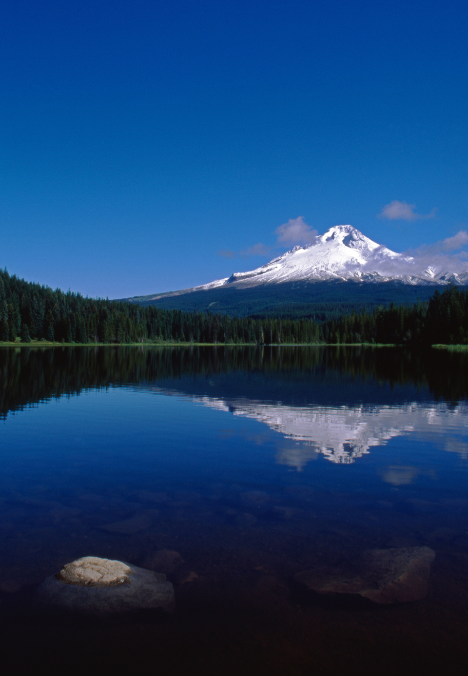 Mt. Hood, reflection in Trillium Lake  -  Mt. Hood National Forest, Oregon