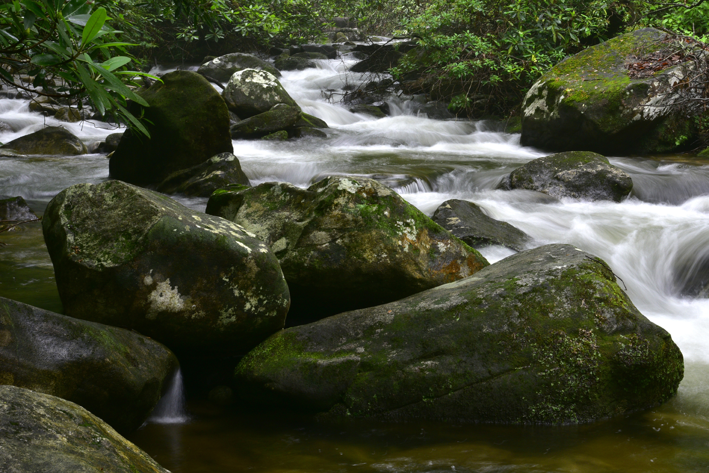 Cascades on the Middle Saluda River  -  Jones Gap State Park, Mountain Bridge Wilderness Area, South Carolina