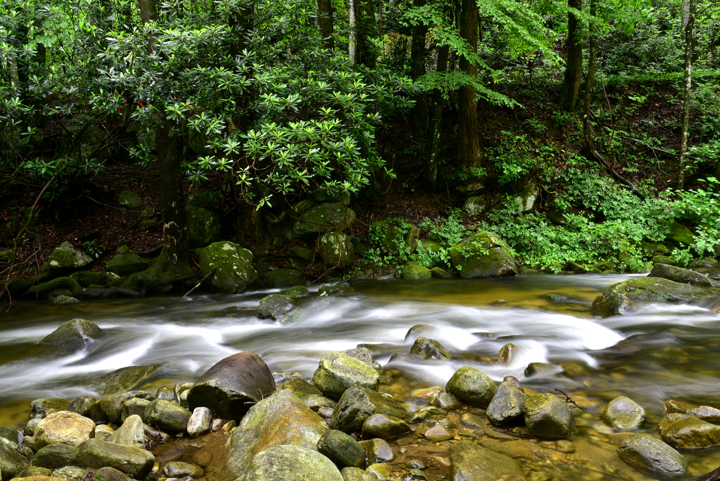 Cascades on the Middle Saluda River  -  Jones Gap State Park, Mountain Bridge Wilderness Area, South Carolina